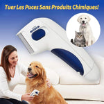 Dissolvant Électrique Pour Animaux Domestiques