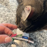 📗📕📔📙Barrette à cheveux en forme de livre miniature