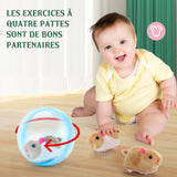 Jouet balle de course pour hamster