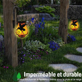 Lumière de Jardin Solaire Enflammée Délicate