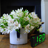 HUD Contrôle de vitesse portable pour voiture