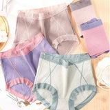 Sous-vêtements antibactériens en dentelle à taille haute