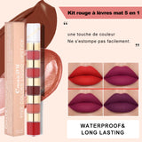 Kit de rouges à lèvres mats 5 en 1