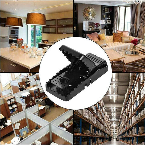 Piège à souris ménager délicat (6 pièces)