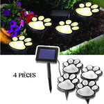 Lampe de jardin solaire à griffes d'ours