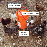 Mangeoire à poulet bricolage