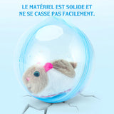 Jouet balle de course pour hamster