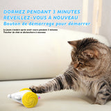Jouet souris automatique pour chat