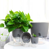 Pot écologique auto-arrosant