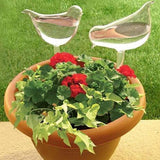 Ampoules en verre pour plantes auto-arrosantes