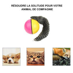 Castor Beaver Ball Electric Pour Chien - ciaovie
