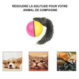 Castor Beaver Ball Electric Pour Chien - ciaovie
