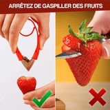 Décortiqueur de tiges de fruits polyvalent