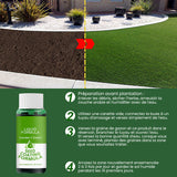 Nutriment liquide pour pelouse