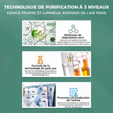 Brosse roulante pour la réparation des murs