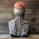 Masque de Squelette Horreur