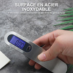 Balance à crochet électronique portable