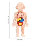 Jouets d'éveil pour enfants