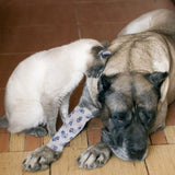 Ruban adhésif pour animaux de compagnie