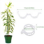 Anneau en plastique pour maintenir les plantes