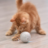 Jouet Boule Laser pour Chat