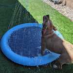 Tapis de bain pliant pour animaux de compagnie