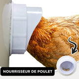 Mangeoire à poulet bricolage