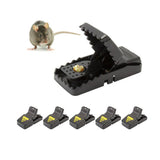 Piège à souris ménager délicat (6 pièces)