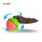 Castor Beaver Ball Electric Pour Chien - ciaovie