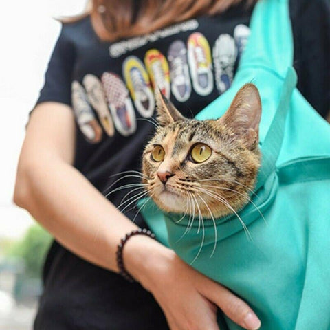 Pochette de Voyage pour Chat