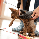 Jouets interactifs amusants pour chats