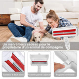 Brosse Anti Poils Animaux Chat Chien