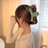 Pinces à Cheveux pour Femmes