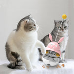 Bâtonnet chat