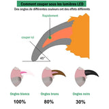 Coupe-ongles professionnel pour animaux de compagnie