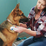 Dissolvant Électrique Pour Animaux Domestiques