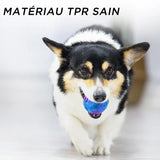 Balle Résistante aux Morsures pour Animaux de Compagnie