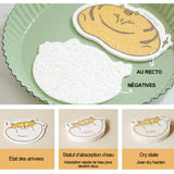 Lingette éponge en pâte de bois comprimée