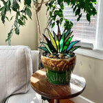 Mini ornements de jardin de décoration de plantes en pot
