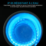 Bande LED dynamique pour capot de voiture