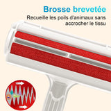 Brosse Anti Poils Animaux Chat Chien