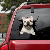 Autocollant chien créatif pour fenêtre de voiture