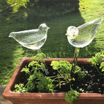 Ampoules en verre pour plantes auto-arrosantes