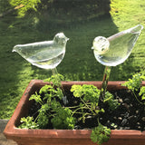 Ampoules en verre pour plantes auto-arrosantes