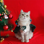 Cape de Noël pour animaux de compagnie