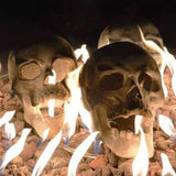 Crâne d'Halloween créatif