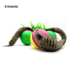 Castor Beaver Ball Electric Pour Chien - ciaovie
