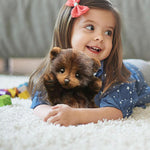 Adorable Peluche Ours Jouet