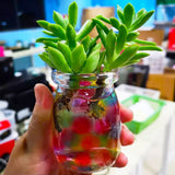 Perle d'eau souterraine en cristal