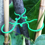 Porte-plantes de jardin (50 PIÈCES)